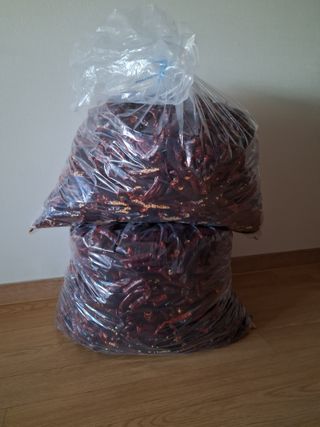 하중규(고추 재배)님의 고추 · 영농일지 작성글 사진