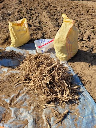 이름유순옥님의 기타작물 · 영농일지 작성글 사진