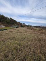 팜모닝 기타작물·영농일지 게시글 이미지