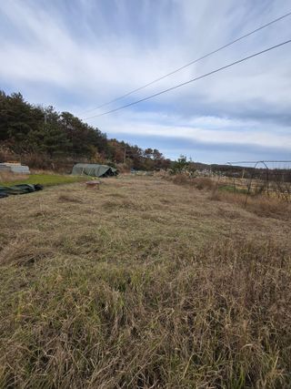 박현미님의 기타작물 · 영농일지 작성글 사진