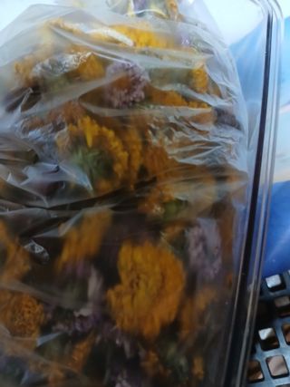 최유순님의 콩 · 영농일지 작성글 사진