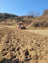 팜모닝 기타작물·영농일지 게시글 이미지