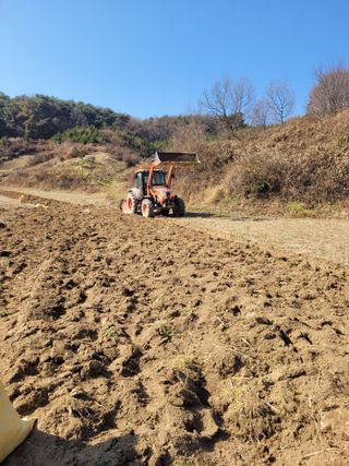 이름유순옥님의 기타작물 · 영농일지 작성글 사진