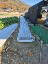 팜모닝 기타작물·영농일지 게시글 이미지