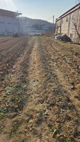 팜모닝 기타작물·영농일지 게시글 이미지