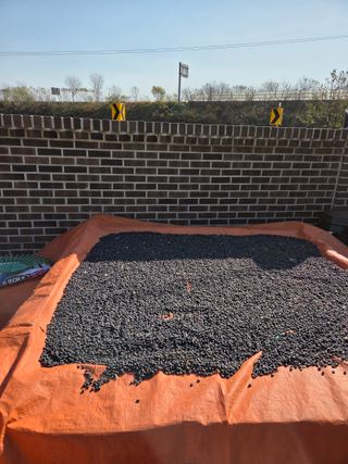 백현호님의 콩 · 영농일지 작성글 사진