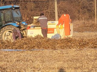 신승철님의 콩 · 영농일지 작성글 사진