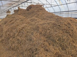 기본에 충실님의 기타작물 · 영농일지 작성글 사진