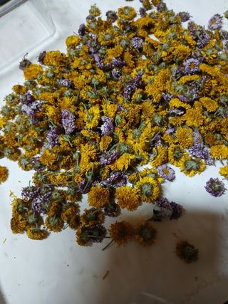 최유순님의 콩 · 영농일지 작성글 사진