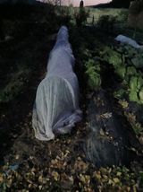 팜모닝 기타작물·영농일지 게시글 이미지