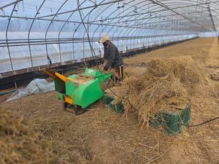 기본에 충실님의 기타작물 · 영농일지 작성글 사진