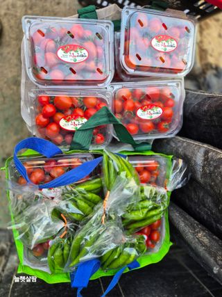 늘햇살팜 님의 기타작물 · 영농일지 작성글 사진