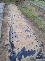 팜모닝 마늘·영농일지 게시글 이미지