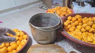 박정원님의 감 · 영농일지 작성글 사진