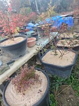 팜모닝 기타작물·영농일지 게시글 이미지