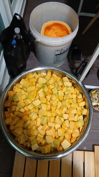 이상철님의 기타작물 · 영농일지 작성글 사진