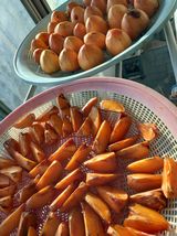 팜모닝 기타작물·영농일지 게시글 이미지