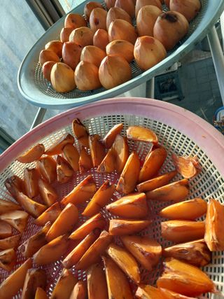 땅콩맘님의 기타작물 · 영농일지 작성글 사진