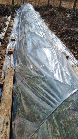 김지철님의 기타작물 · 영농일지 작성글 사진