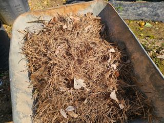 연모 자연의행복님의 기타작물 · 영농일지 작성글 사진