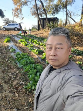로만아빠님의 배추 · 영농일지 작성글 사진