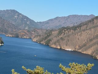 이익수님의 기타작물 · 영농일지 작성글 사진