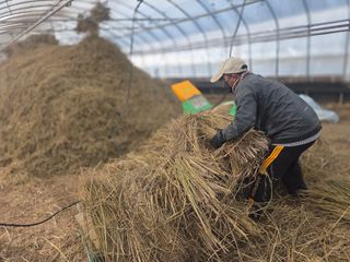 기본에 충실님의 기타작물 · 영농일지 작성글 사진