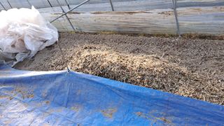 조연만님의 기타작물 · 영농일지 작성글 사진