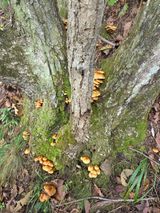 팜모닝 기타작물·영농일지 게시글 이미지