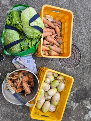 배영순님의 기타작물 · 영농일지 작성글 사진