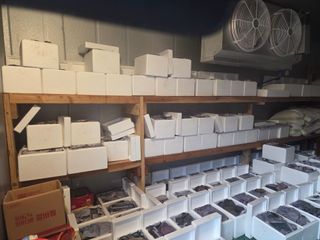 무주설천면 반딧팝님의 기타작물 · 영농일지 작성글 사진