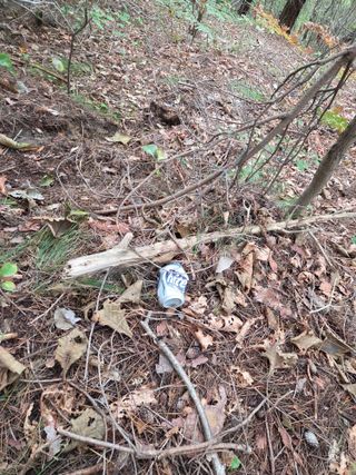 무주설천면 반딧팝님의 기타작물 · 영농일지 작성글 사진