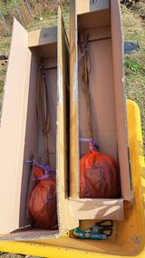 팜모닝 감·영농일지 게시글 이미지