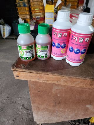 제주온님의 귤 · 영농일지 작성글 사진