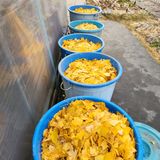 팜모닝 기타작물·영농일지 게시글 이미지