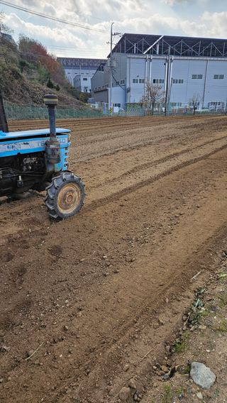 이순정님의 기타작물 · 영농일지 작성글 사진