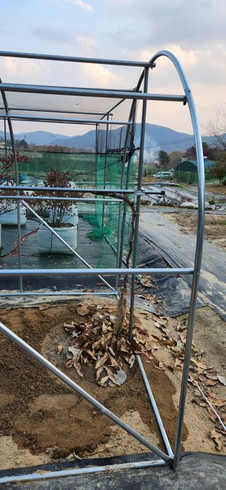 귤8352님의 기타작물 · 영농일지 작성글 사진