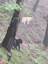 팜모닝 기타작물·영농일지 게시글 이미지