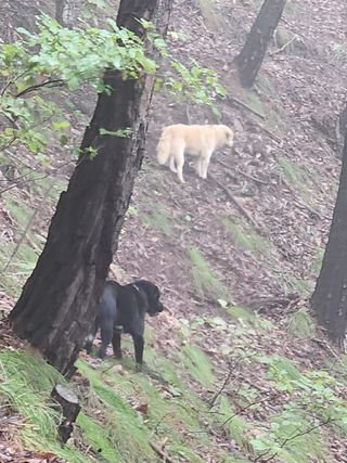 무주설천면 반딧팝님의 기타작물 · 영농일지 작성글 사진