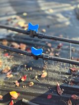 팜모닝 블루베리·영농일지 게시글 이미지