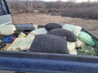 신승철님의 콩 · 영농일지 작성글 사진