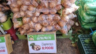 김지철님의 기타작물 · 영농일지 작성글 사진