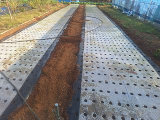 김용환님의 마늘 · 영농일지 작성글 사진