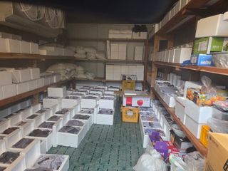 무주설천면 반딧팝님의 기타작물 · 영농일지 작성글 사진