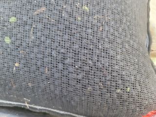 신승철님의 콩 · 영농일지 작성글 사진