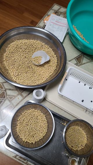 포도14685님의 기타작물 · 영농일지 작성글 사진