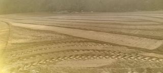 박사원농장님의 기타작물 · 영농일지 작성글 사진