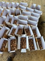 팜모닝 기타작물·영농일지 게시글 이미지