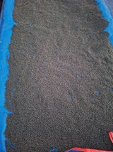 팜모닝 콩·영농일지 게시글 이미지