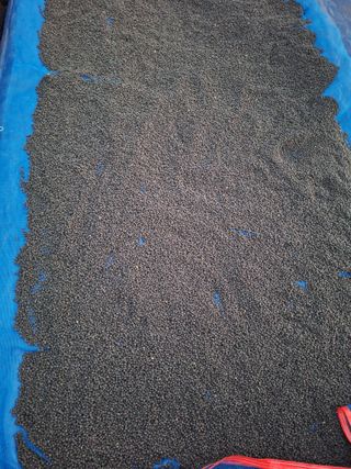 김용환님의 콩 · 영농일지 작성글 사진